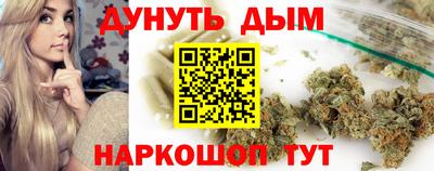 apvp Моздок
