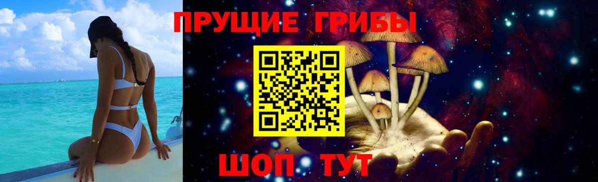 Подольск  где купить наркоту  Вход с VPN  Псилоцибиновые грибы мицелий 